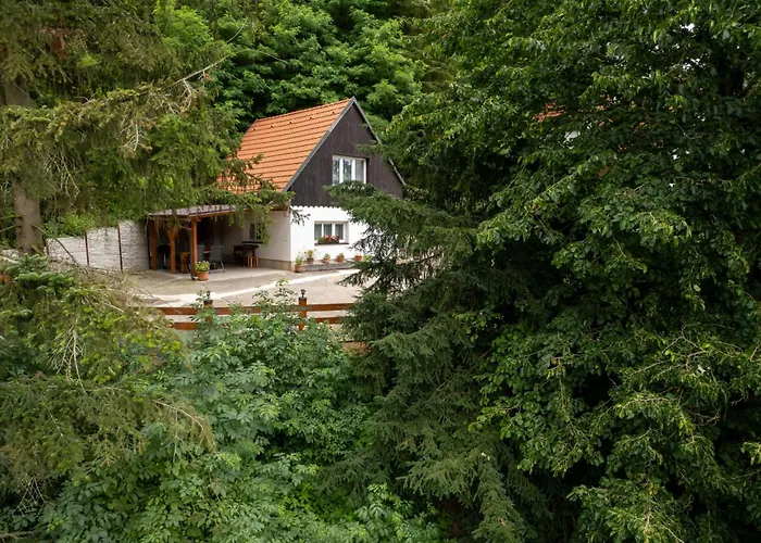 Zimorsky By Interhome Holiday home Dolni Zimor